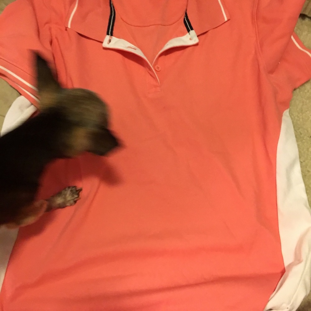 Shirts - Picture 8 of 8